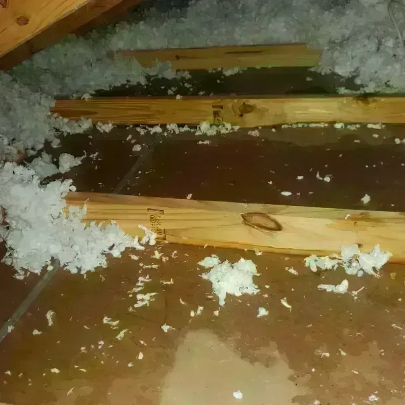 Attic Water Damage in Victoria County, TX