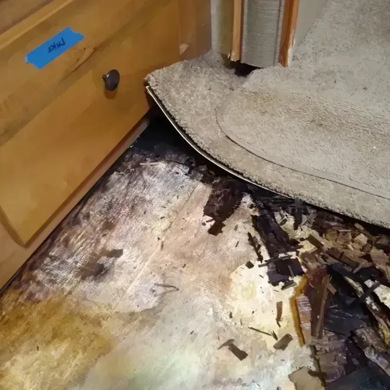 Best Wood Floor Water Damage Service in Victoria County, TX